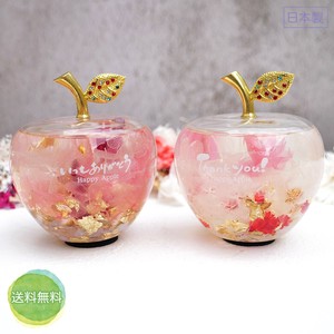 Object/Ornament Herbarium Gift Apple Presents Made in Japan