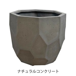 グリーンポット 植木鉢 リッジ ナチュラルコンクリート 33cm EB-RI3331NC