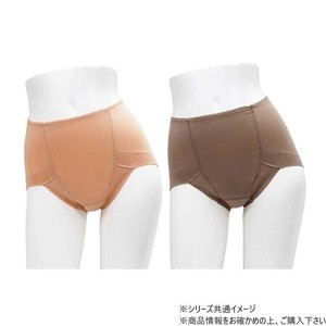 スタイルセレブリティ 吸水消臭ショーツ 2色組 婦人用 TJI-679 3L ピンクセット 514692 U0937