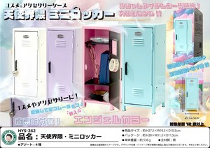Toy