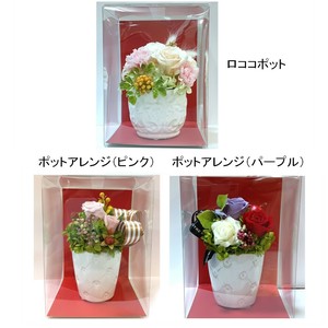 【母の日】プリザーブドフラワー【ギフト雑貨　数量限定】