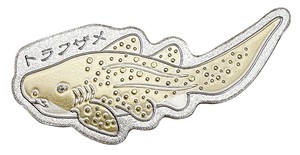 【ホイルダイカットマグネット】トラフザメ