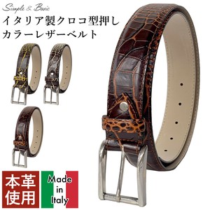 Belt Colorful