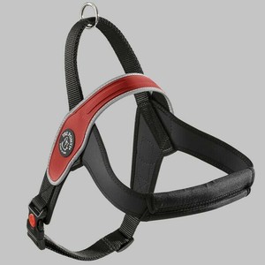 (ペット) TRE PONTI プリモ　リフレクティブ レッド M LTP200