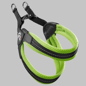 (ペット) TRE PONTI フィッビア　ソフトメッシュ グリーン 2号 LTP113