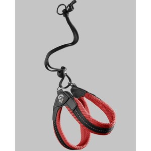 (ペット) TRE PONTI リベルタ　ソフトメッシュ レッド 2.5号 LTP103
