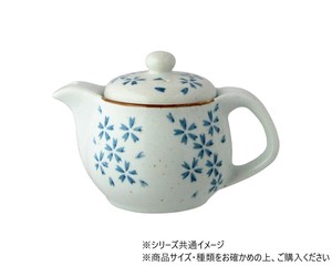 若葉　ポット 700717