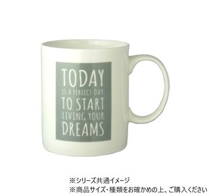 BCマグカップ(TODAY 380ml グレー 705439