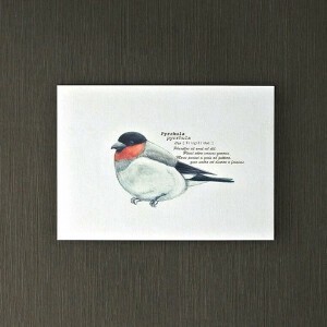 Postcard