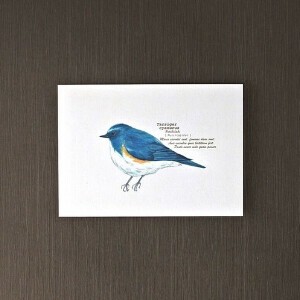 Postcard
