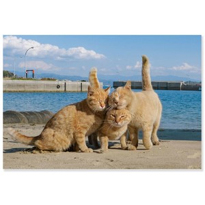 Postcard Summer