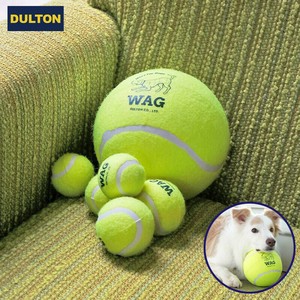 ■2025SS　新作■　Tennis ball（犬用玩具）