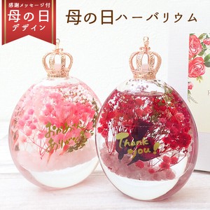 Object/Ornament Herbarium 3 Colors 1-pcs