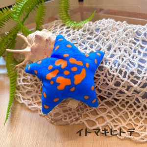 ぽけぷに　イトマキヒトデ  ぬいぐるみ　水生生物