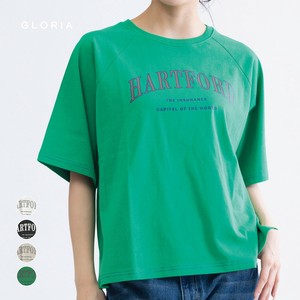 T-shirt Raglan pullover Multi-colored Stitch [S/S NEW]