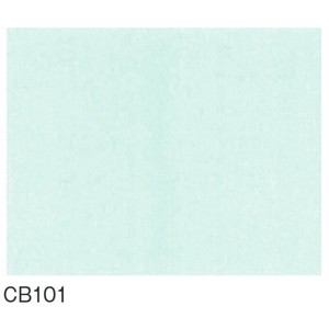 富双合成 防炎シャワーカーテン 約105cm幅×180cm高 CB101
