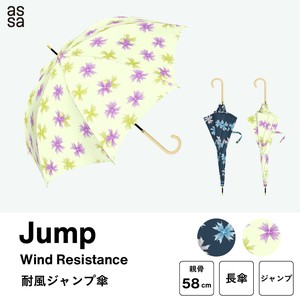 雨伞 冰/冰淇淋/雪糕