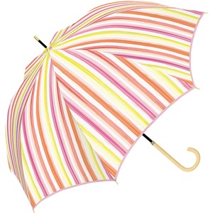 雨伞 彩虹