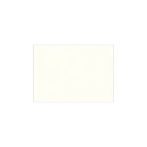 PAPER PALETTE(ペーパーパレット)　ハーフポストカード　フェザーワルツ　ゆき　100枚　1740236