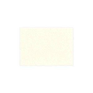 PAPER PALETTE(ペーパーパレット) ハーフポストカード 江戸小染 はな 絹  100枚 1336115