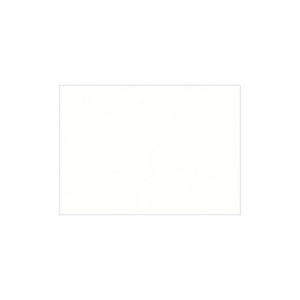 PAPER PALETTE(ペーパーパレット)　ハーフポストカード　波光　白　100枚　1727230