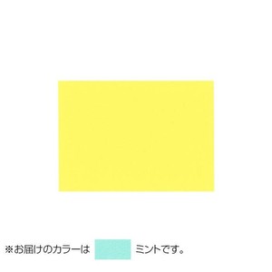 PAPER PALETTE(ペーパーパレット)　ハーフポストカード　マーメイド　ミント　100枚　1744944