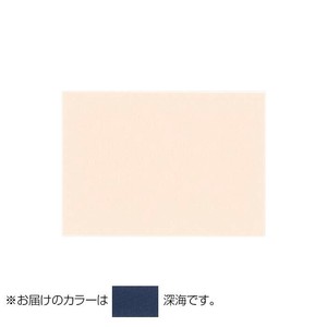 PAPER PALETTE(ペーパーパレット)　ハーフポストカード　マーメイド　深海　100枚　1744890