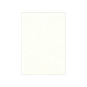 PAPER PALETTE(ペーパーパレット)　ポストカード　NTラシャ　スノーホワイト　100枚　1732107