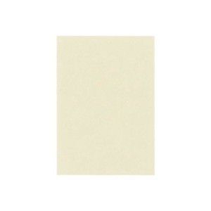 PAPER PALETTE(ペーパーパレット)　ポストカード　パルパー　ナチュラル　100枚　1716522