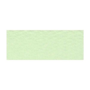 PAPER PALETTE(ペーパーパレット)　ポストカード　マーメイド　メロン　100枚　1705855
