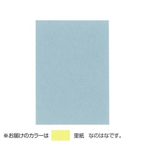 PAPER PALETTE(ペーパーパレット)　ポストカード　里紙　なのはな　100枚　1744289