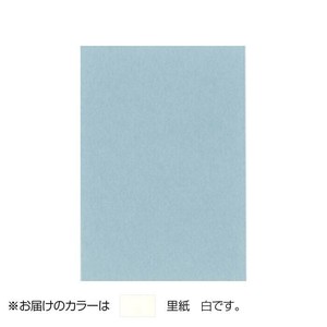 PAPER PALETTE(ペーパーパレット)　ポストカード　里紙　白　100枚　1744272