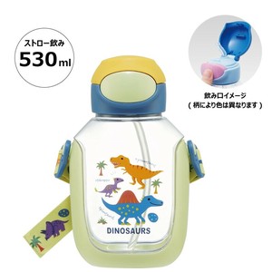 Water Bottle Dinosaur One Push Skater