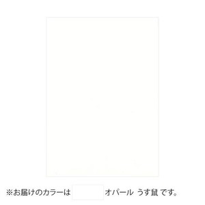 PAPER PALETTE(ペーパーパレット)　B6カード　オパール　うす鼠　100枚　1745033