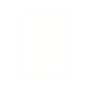 PAPER PALETTE(ペーパーパレット)　A5カード　パミス　純白　100枚　1739506