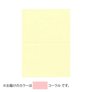 PAPER PALETTE(ペーパーパレット)　A5カード　マーメイド　コーラル　100枚　1744142