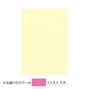 PAPER PALETTE(ペーパーパレット)　A5カード　マーメイド　コスモス　100枚　1744159