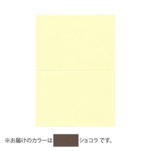 PAPER PALETTE(ペーパーパレット)　A5カード　マーメイド　ショコラ　100枚　1744173