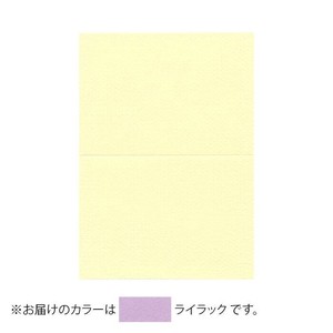 PAPER PALETTE(ペーパーパレット)　A5カード　マーメイド　ライラック　100枚　1744241