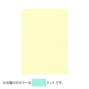 PAPER PALETTE(ペーパーパレット)　A5カード　マーメイド　ミント　100枚　1744227