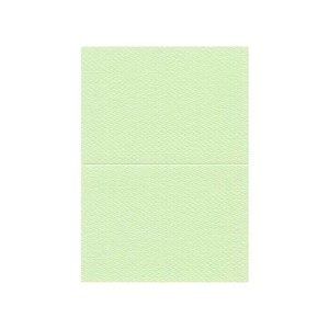 PAPER PALETTE(ペーパーパレット)　A5カード　マーメイド　メロン　100枚　1347526