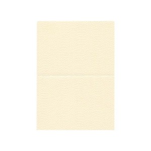 PAPER PALETTE(ペーパーパレット) A5カード 江戸小染 はな 絹 100枚 1347609