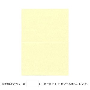 PAPER PALETTE(ペーパーパレット)　A5カード　ルミネッセンス　マキシマムホワイト　100枚　1744258
