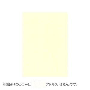 PAPER PALETTE(ペーパーパレット)　B5便箋　アトモス　ぼたん　100枚　1745118