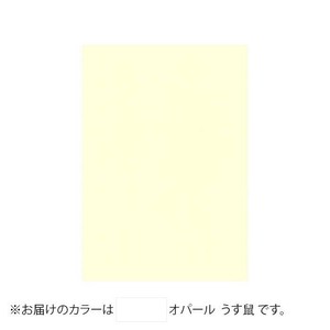 PAPER PALETTE(ペーパーパレット)　B5便箋　オパール　うす鼠　100枚　1745125