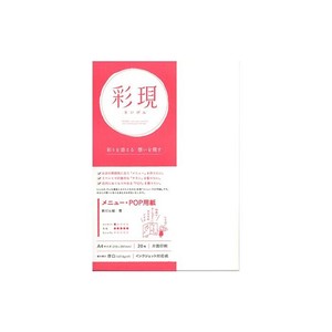 彩現　メニュー・POP用紙　新だん紙　雪　A4サイズ　20枚　1742032