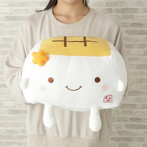 Cushion