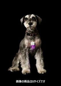 【愛犬のイラスト 好きな文字を入れて オーダーメイド可能】セーフディライト