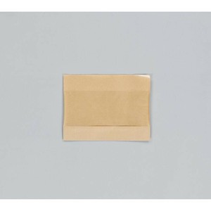 窓付ガゼット袋 パノラマパック KBB21-16 未晒無地P 福助工業