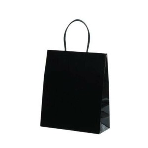 紙手提袋 STB プリティ 黒 パックタケヤマ
